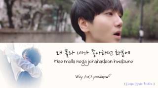Yesung-Here I Am [Han,Rom,Engsub]