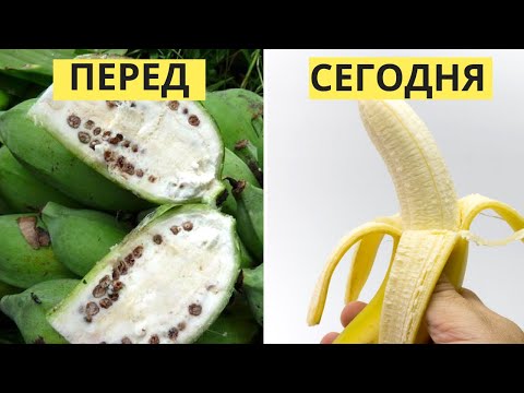 Вот как изначально