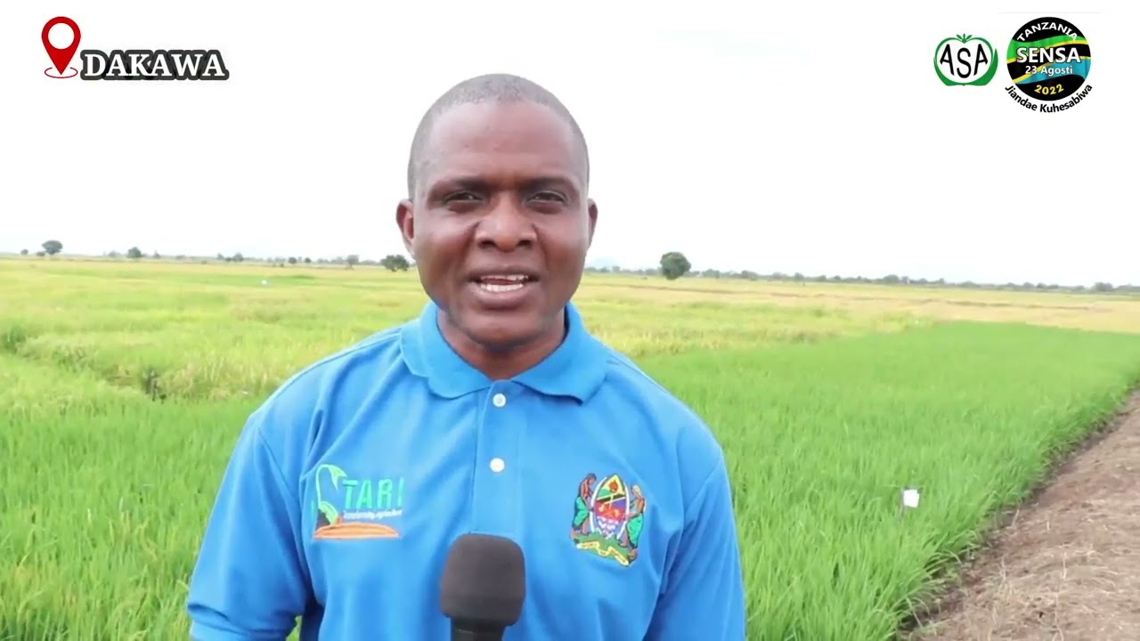 DAKAWA KINARA MBEGU BORA YA MPUNGA