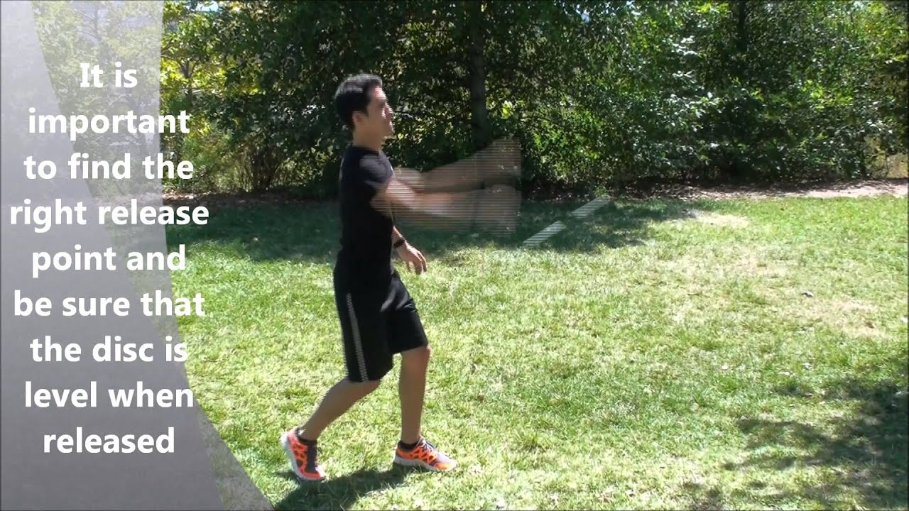 flickerz mini frisbee