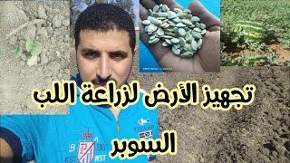 حرتنا الأرض وخططنها لزراعة البطيخ اللب وقد ايه عرض المصطبة بتاعت البطيخ