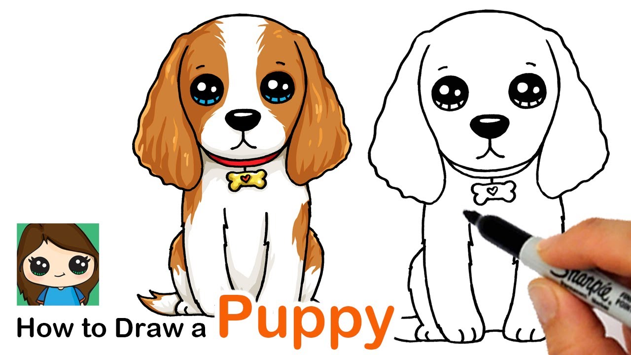 How to Draw a Cocker Spaniel Puppy Dog Easy - YouTube