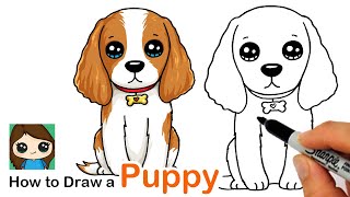 How to Draw a Cocker Spaniel Puppy Dog Easy