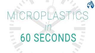 What Are Microplastics? 60 Seconds Ocean Wise