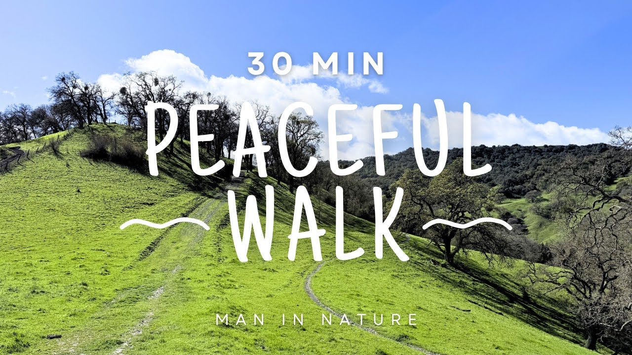 Peaceful 30 Minutes Nature Walk in California 🌿 | Forest Sounds 