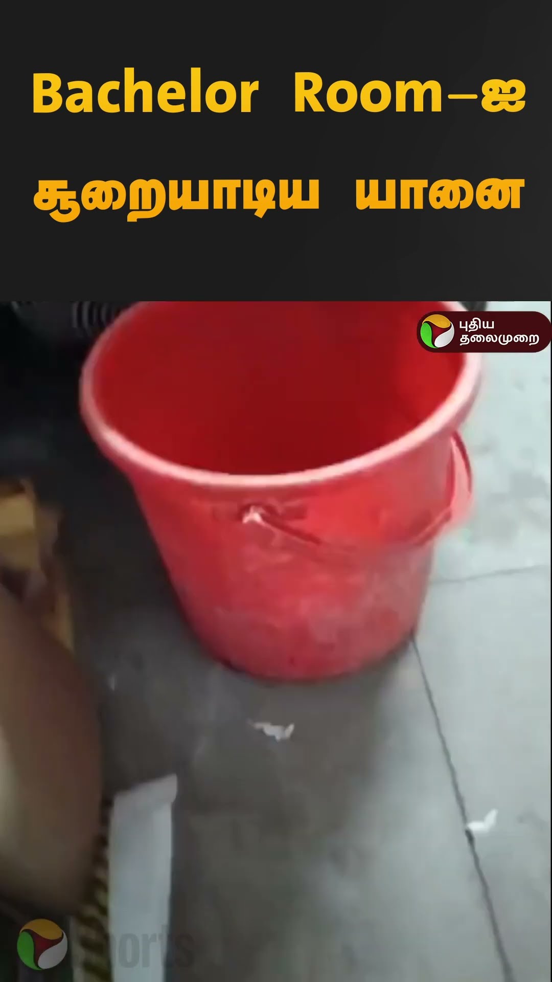 Bachelor Room-ஐ சூறையாடிய யானை | #coimbatore | #elephant | #shorts