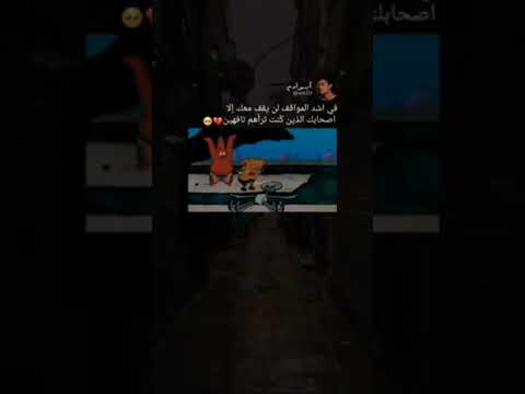 شفيق هل انت بخير