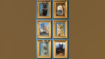 Meet Matt McCarthy a Surreal Cat Collage Artist #Photoshop #shorts