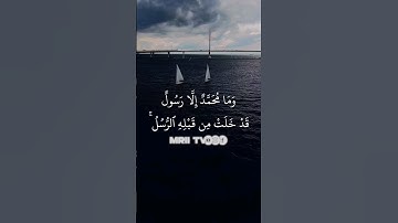 ماهر المعيقلي - سورة آل عمران ( برواية حفص عن عاصم ) الأية 144