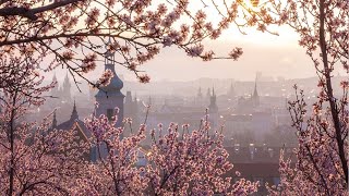 Наконец то весна в Праге
