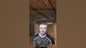 my cs2 teammates: