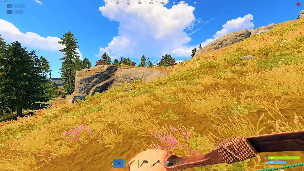 Bone Arrows = Cheats