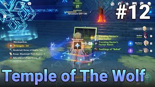 Domain Temple of The Wolf | Genshin Impact Indonesia #12