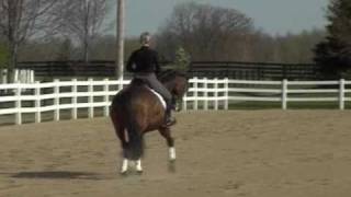 wettin0509projectpart1 0001