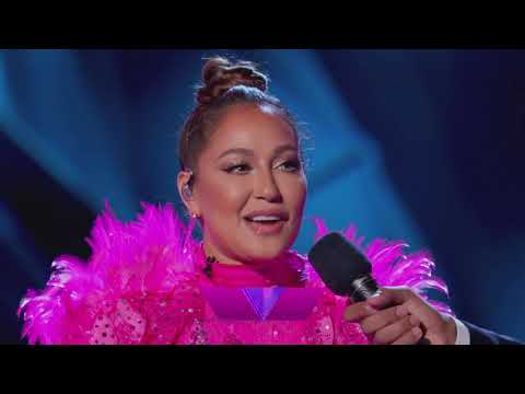 Masked Singer Flamingo Reveal |Season 2 Episode 13