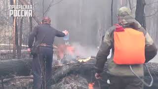 Урал горит: поджоги леса | Прекрасная Россия