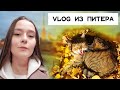 Vlog из Питера, Нева и коты | Один мой будний день | Рецепт батата с чесноком