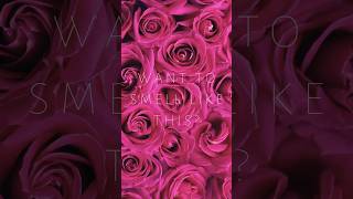 Kilian - Love Dont Be Shy