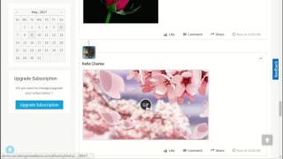 Benefits and Setup of "GIF Player Plugin" screenshot 5