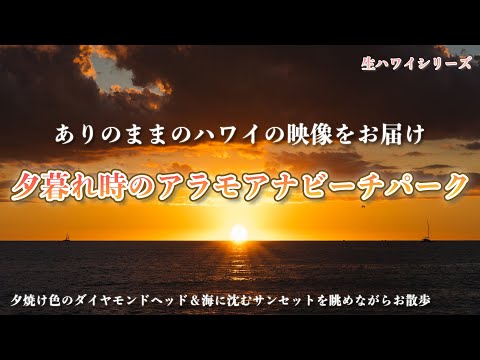 ハワイの今 生ハワイシリーズ 夕暮れ時のアラモアナビーチパークをお散歩 ダイヤモンドヘッドや鳥のさえずり 波の音 癒しのサンセットの時間をお楽しみください Youtube ハワイの今 生ハワイシリーズ 夕暮れ時のアラモアナビーチパークをお散歩 ダイヤモンドヘッドや鳥のさえずり 波の音 癒しのサンセットの時間をお楽しみください Youtube