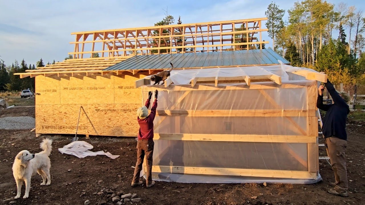 Зимний курятник в недостроенном сарае | Самостоятельная сборка
