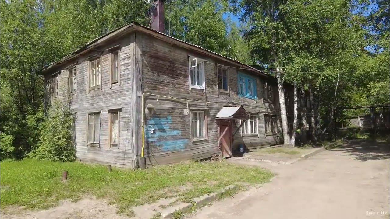 Прогулки по лесу Сыктывкар