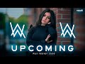 Alan Walker Style, Jnin K - Upcoming [New Song 2023]