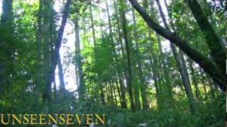 Brother Bigfoot
This is a documentary that started when Bigfoot was captured in a photoshoot.
Everything you see in this video is real!!!!!! This is just the beginning. I will hopefully have more videos of our brother Bigfoot. EVERYTHING YOU WILL SEE IS THE TRUTH!!!!! THEY HAVE A MESSAGE FOR US!!!!!!!! Brother Bigfoot
