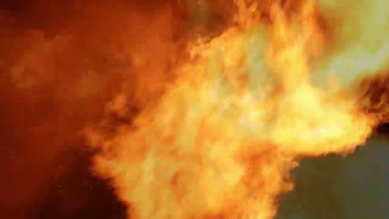 Muted Tweed - Wilder Seas (Visualiser)