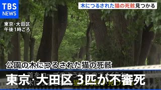 公園の木につるされた猫の死骸 東京・大田区で３匹が不審死