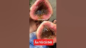 Ăn và gì chứ vả này em nguyện ăn cả đời luôn ạ😂☎️092.391.6866 #nhavuonngoclam #cayanqua #cayvamat