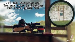 .17 HMR @ 200 yards