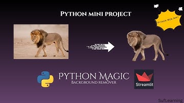 Python Background Remover Web App | Streamlit Mini Project for Beginners
