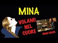 Mina - Volami nel cuore - Drum cover