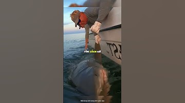 Ngư dân chẳng muốn bắt trúng cá mập 😯