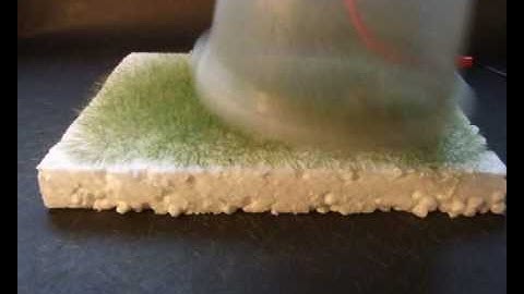 static grass applicator 2