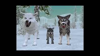 Wolf Story Part 3 | Revenge | Wildcraft | Wolf Story Part 3 | Revenge | Wildcraft |