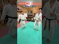 【武道・武術】空手世界王者 福地勇人にYASUの弟タケがローキック蹴ってみた!指導も受ける!!#aikido #karate #martial #武道 #空手#筋トレ