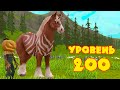 Качаем лошадь до уровня 200 в WildCraft