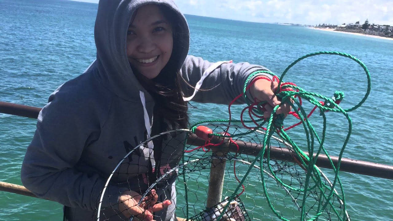 Crabbing in Adelaide (yes crabs, hinahanap hanap kita) hahahaha YouTube