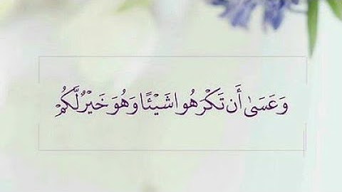 عندما يبدع  القارئ سعيد دباح في التلاوة ينتج هذا الصوت [سورة النور]