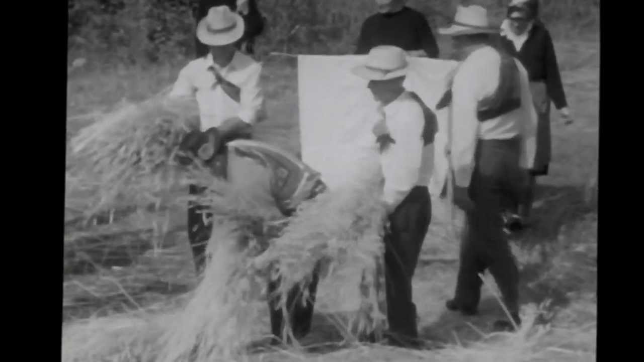 TUIZELO 1974 MICHEL GIACOMETTI vol2