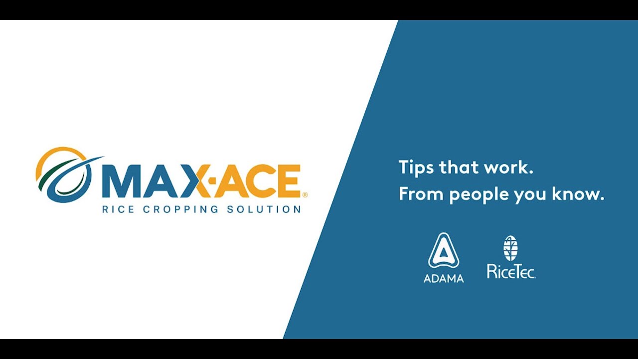 Maxace Rice Max-Ace Rice Cropping Solution & Highcard Herbicide: 1st Application ...