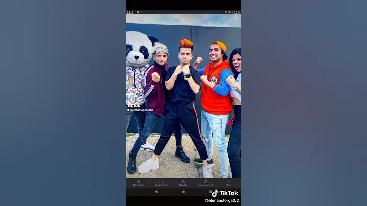 panda querido