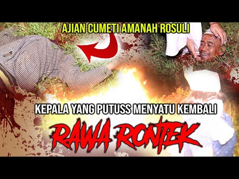 Video: Ketika kepala sari menyatu dan filamen terlepas?