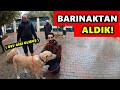 BARINAKTAN KÖPEĞİMİZİ ALDIK - ÇOK MUTLU!