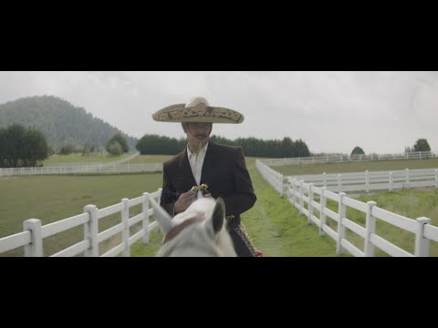 Pablo Montero - Árbol Sin Hojas