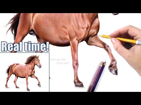 How to Draw a Realistic Horse Using Caran d'Ache Luminance and Supracolor  Pencils 