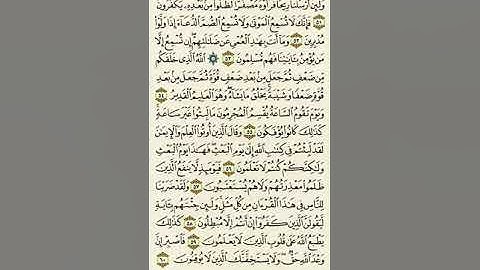 سورة الروم من الآية ٥١ إلى الآية ٦٠بصوت القارئ ماهر المعيقلي