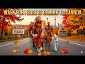 Walk for Peace is coming to CANADA 🍁 🦮